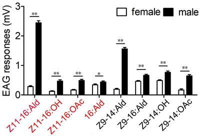 Functional Characterization of Sex Pheromone Neurons and Receptors in the Armyworm, Mythimna separata (Walker)